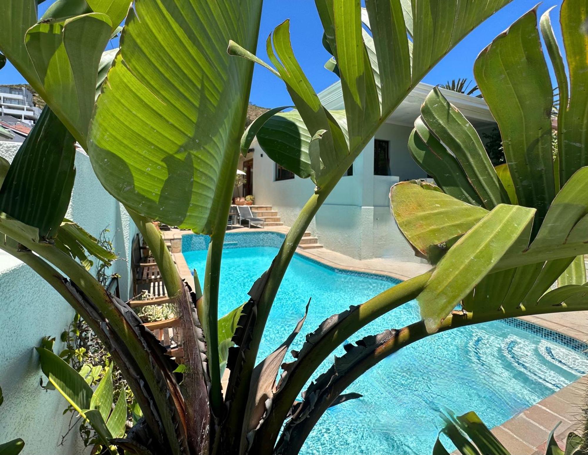 Loloho Lodge - 24H Solar Power Cape Town Ngoại thất bức ảnh
