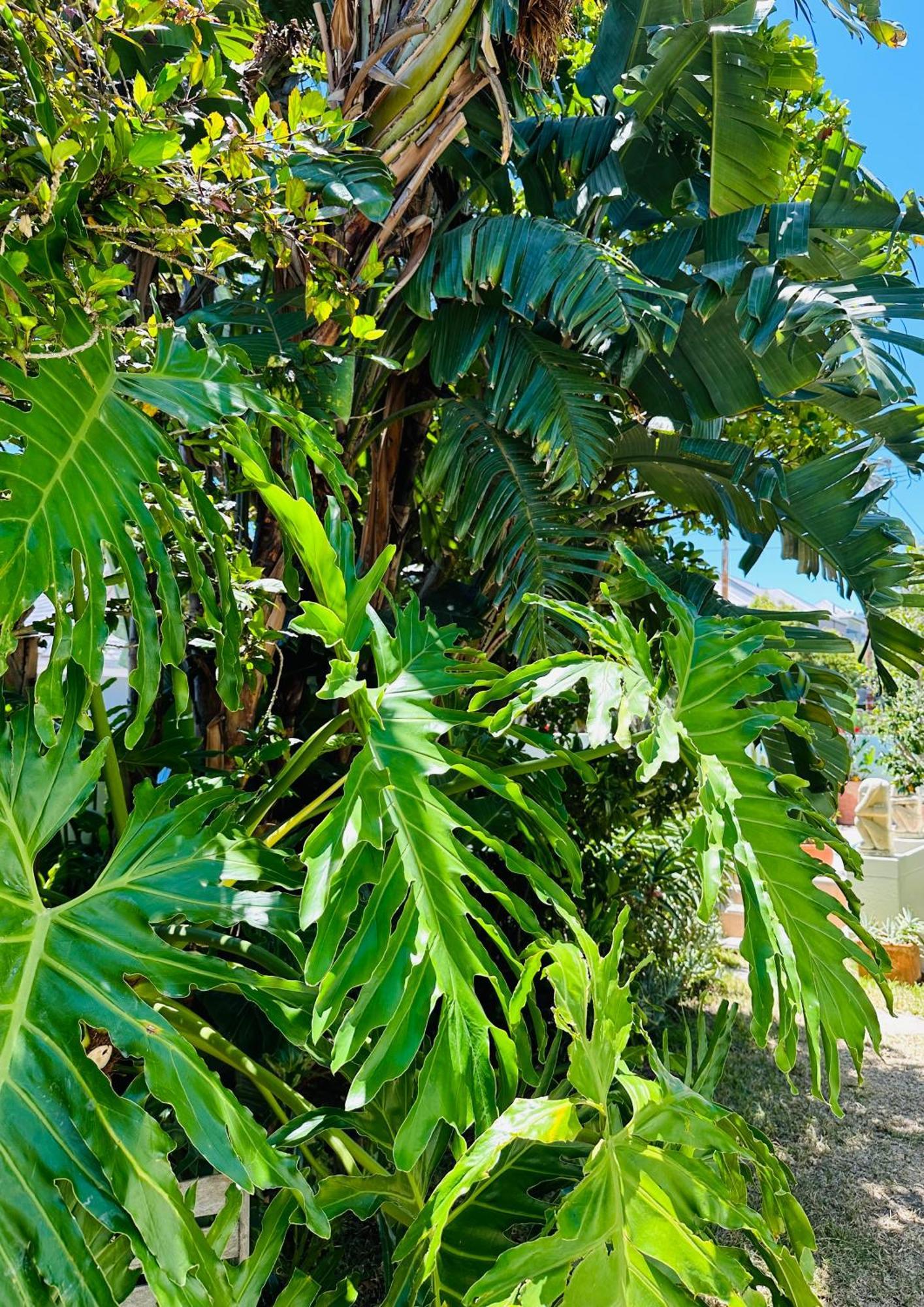 Loloho Lodge - 24H Solar Power Cape Town Ngoại thất bức ảnh