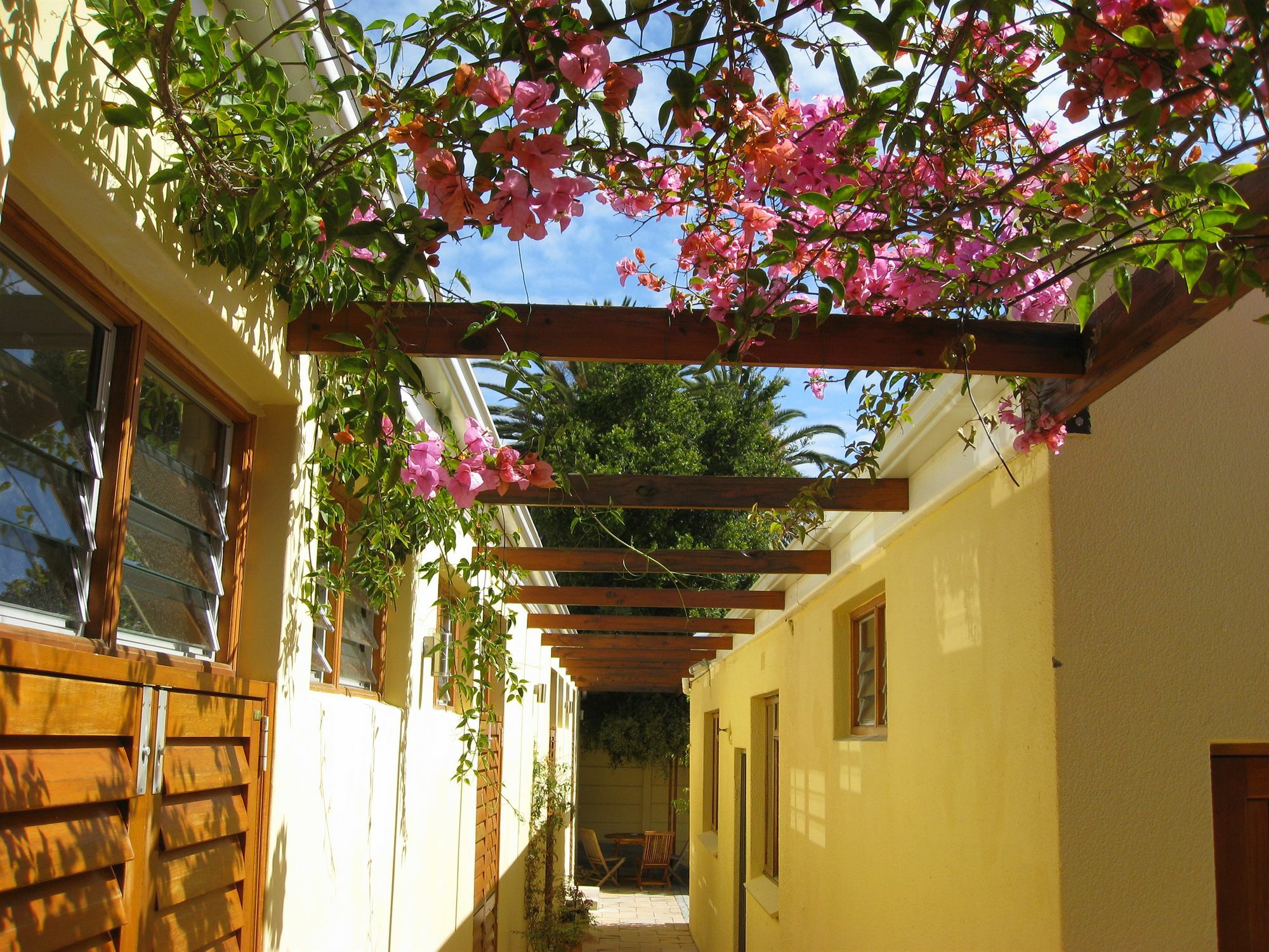 Loloho Lodge - 24H Solar Power Cape Town Ngoại thất bức ảnh